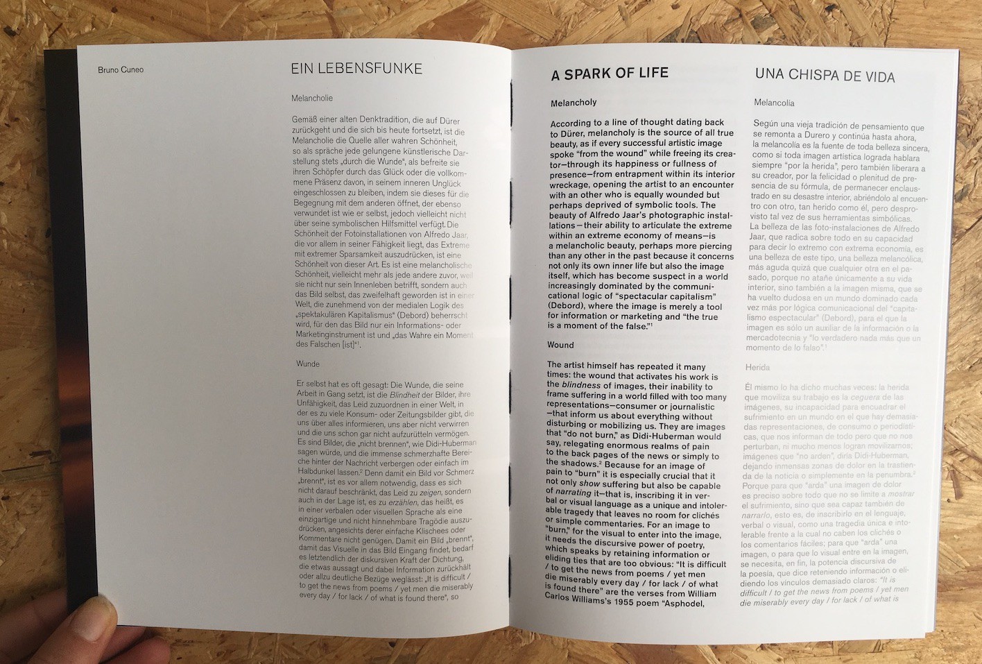 Lament Of The Images Alfredo Jaar grass publishers 9783946848127