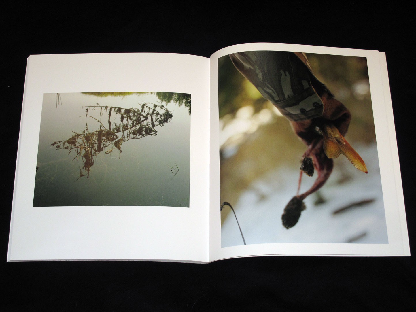 Ron Jude – Lick Creek Line – PhotoBook Journal