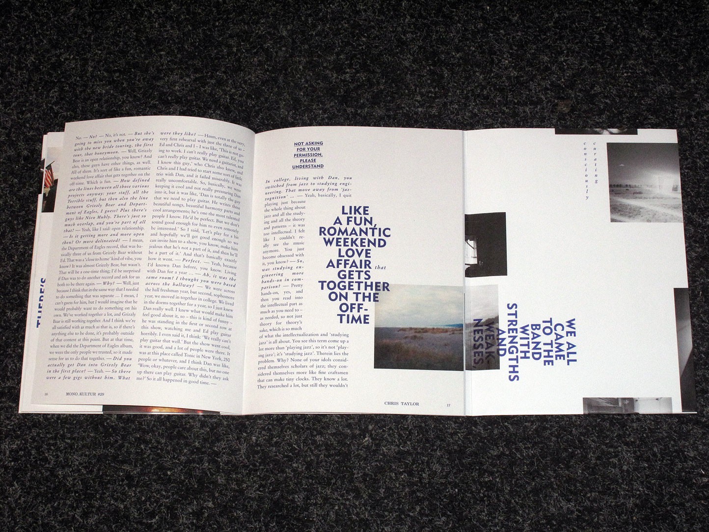 Mono Kultur 29 Chris Taylor Grizzly Bear