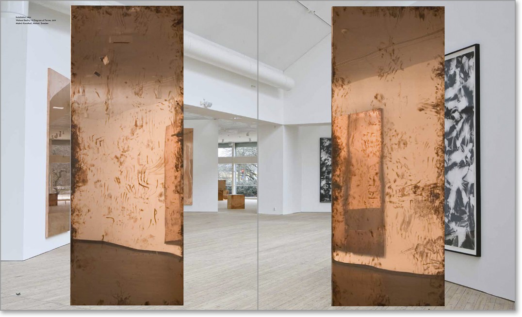 Natural Histories - Walead Beshty - JRP|Ringier