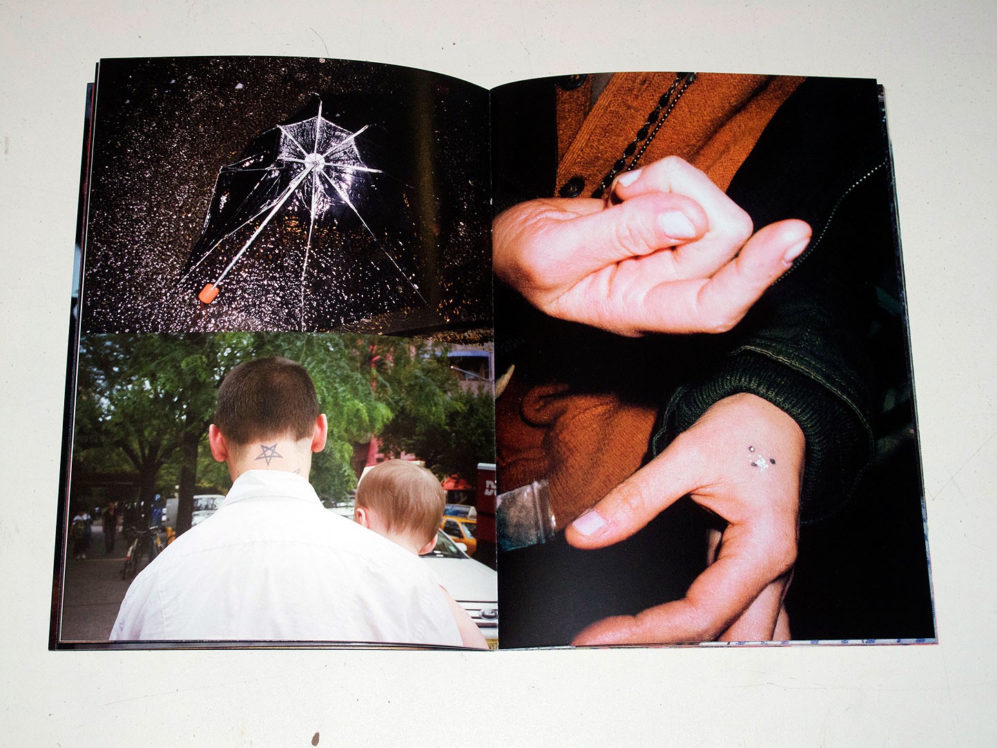 nobody-lost-dana-lauren-goldstein-pogobooks-9783942547116