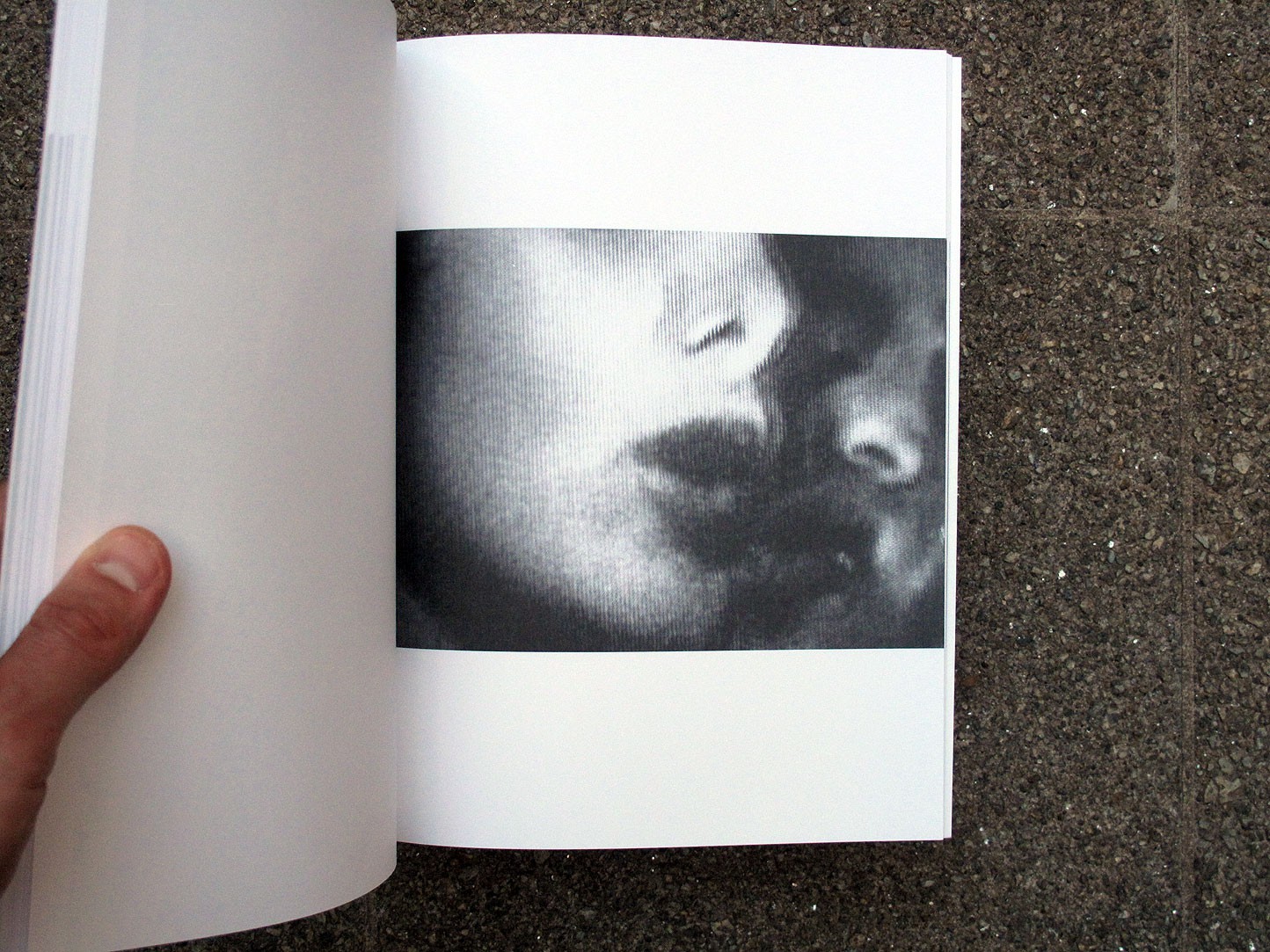 Pigxote | Harmony Korine | Nieves 2009 – buonaideabooks