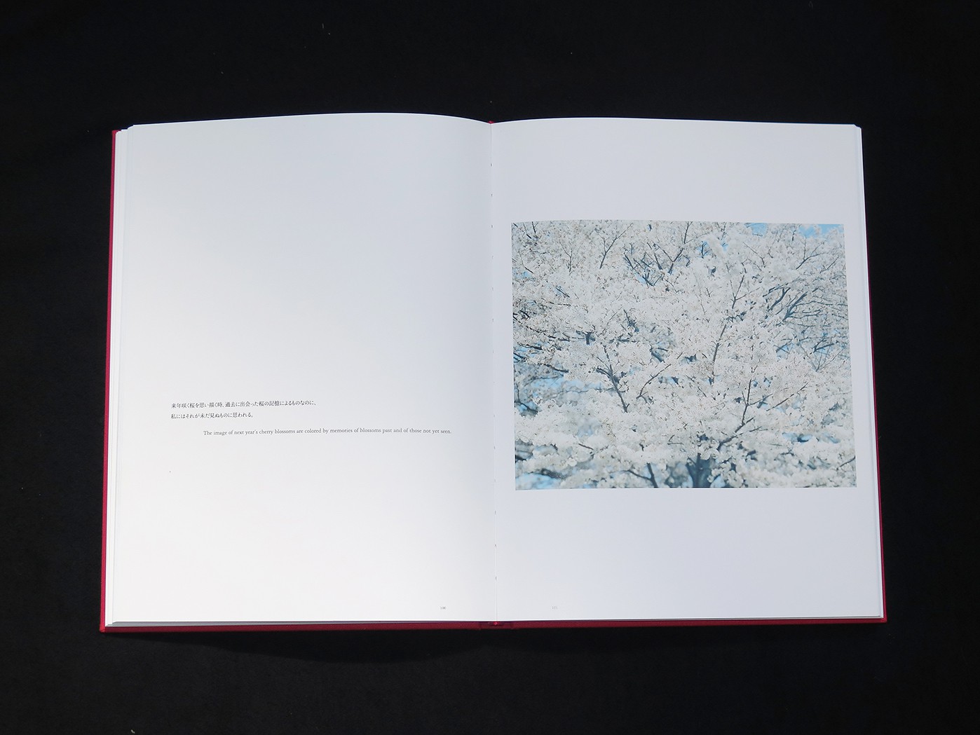 アート・デザイン・音楽 Risaku Suzuki Stream of consciousness Stream of Consciousness - Edition Nord - Publishers