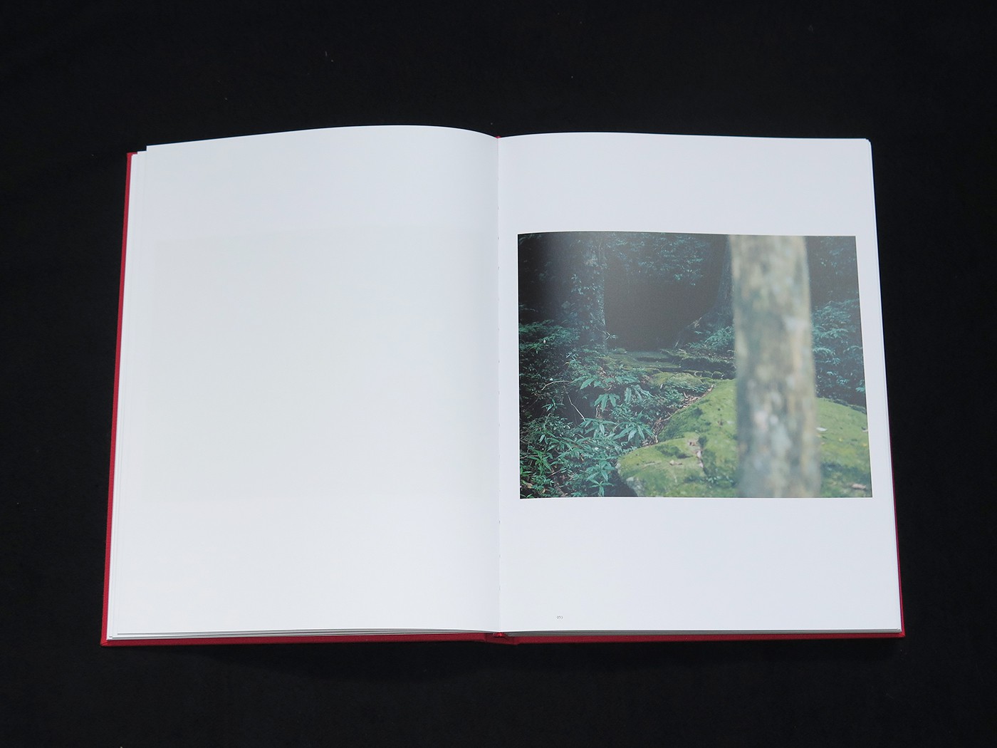 stream_of_consciousness_risaku