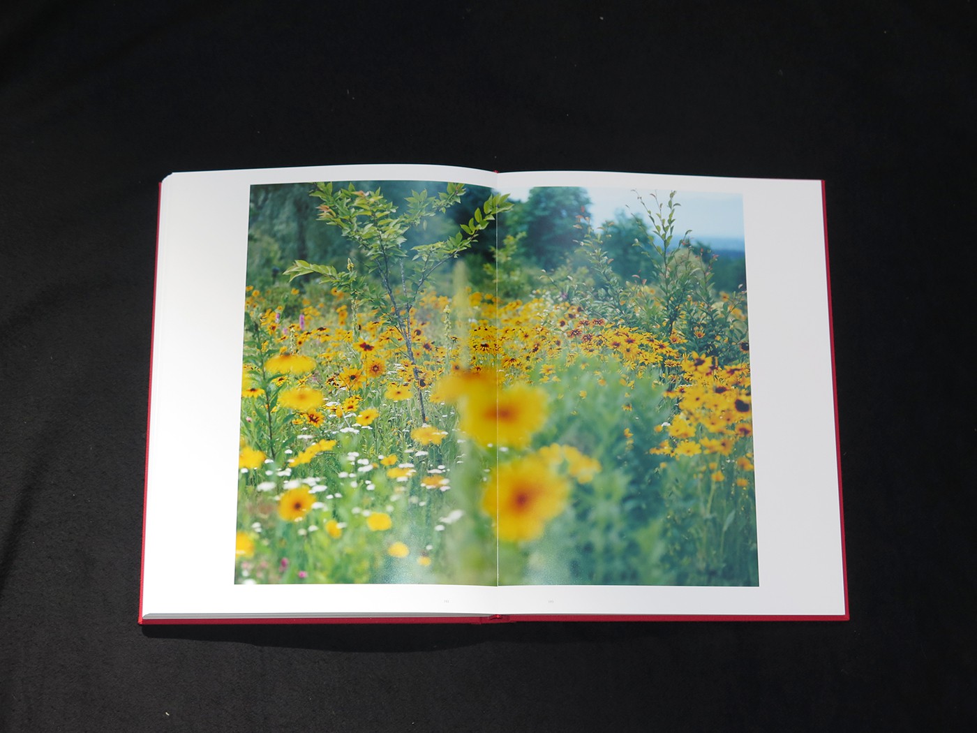 アート・デザイン・音楽 Risaku Suzuki Stream of consciousness Risaku Suzuki “Stream of Consciousness” （Tokyo Opera City Art