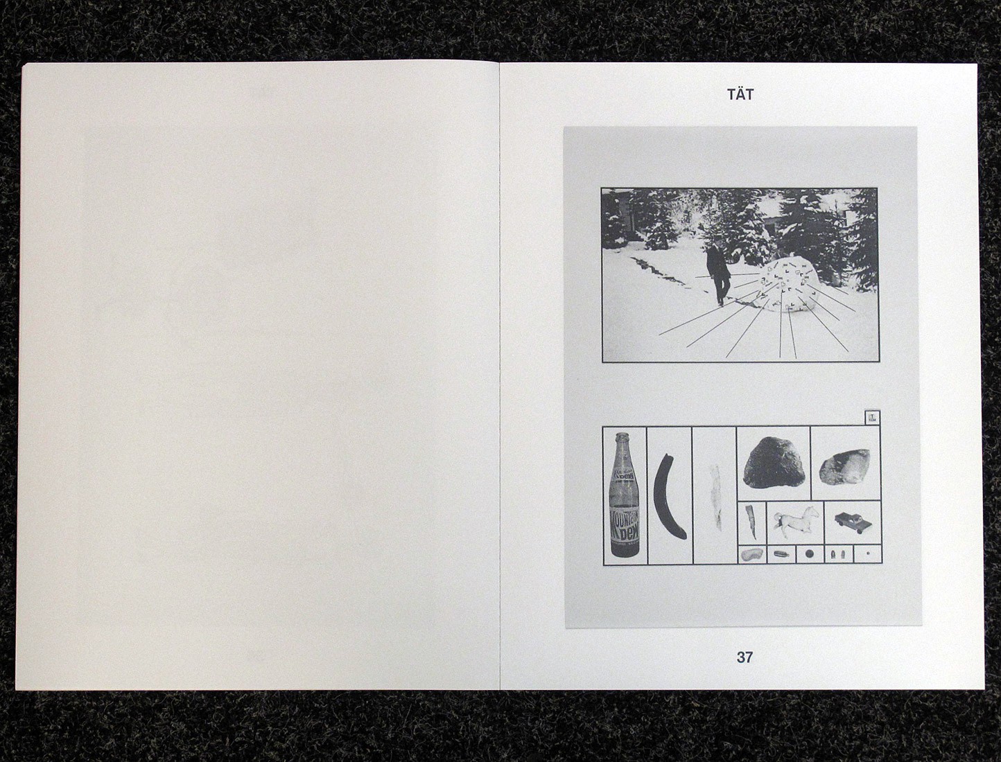 Die TÄT Publikation