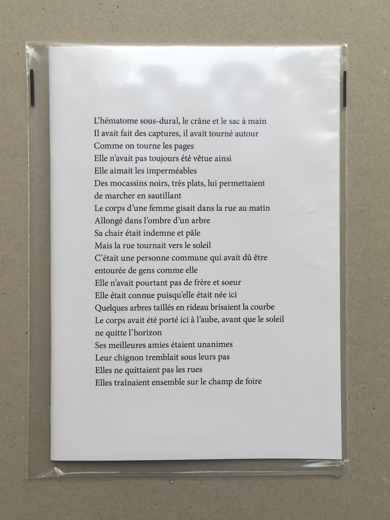 MOTTO DISTRIBUTION Julien Carreyn