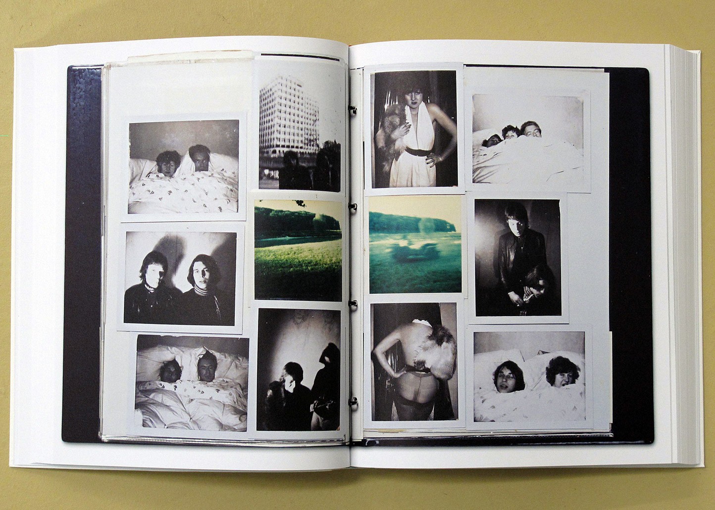 Walter Pfeiffer: In Love with Beauty: 9783865218704 - AbeBooks