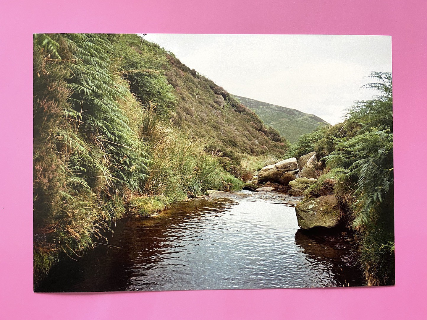 waterzinesusannaliselfpublished