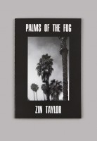 Palms of the Fog