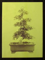 Bonsai - Special Edition Offset Poster