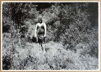 Maxime Muller – forêt (Print)