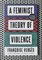 A Feminist Theory of Violence 