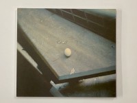 ...und der Garten alles Beton - Adrian Campean, Dan Sociu