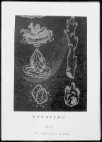 Aguatero
