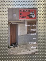 Attenti al Cane: Twentysix Dogs Found on Street View