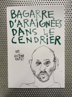 BAGARRE D'ARAIGNÉES DANS LE CENDRIER