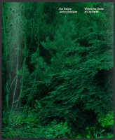 Within the limits of City