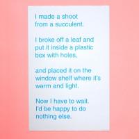 Blue Poem “Succulent“