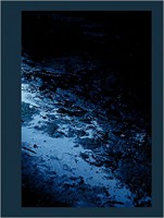 Blue Mud Swamp