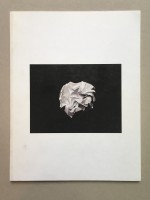 Camille Laurelli