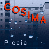 Ploaia (vinyl)