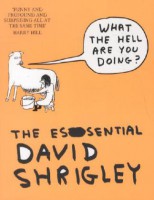 What the Hell are You Doing? The Essential David Shrigley