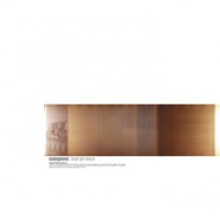 Conjoint - Earprints (Vinyl)