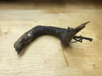 PROVENCE Driftwood (fig. 9)