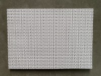 DYSTOPIA I : album de famille