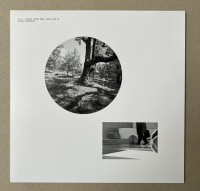 Hannah Weinberger ‎– As If I Became Upside Down, Right Side Up  (LP)