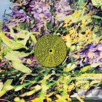 Earth FF (LP)