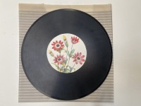 Church of Hate - Les Plus Belles Fleurs (vinyl)