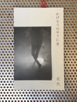 As a Mayfly II
