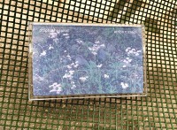 dolphin hospital / arriba rosario! - escargot énorme / sobrecrisis (cassette)