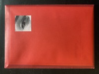 Nora Rahmani - Vestiges
