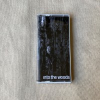 Into the Woods (tape)