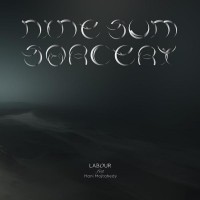 nine-sum sorcery (vinyl)