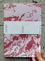 Leander Schwazer. The Rape of Europe  ar/ge kunst #14