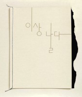 Lee Sang flies away