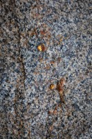 ALL STONES WILL BE RETURNED