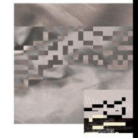 Moments in Shapeshifting (LP)