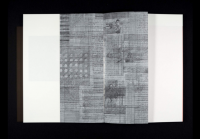 Ioana Nemeș: Artist Book