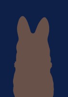 No Country for Canine