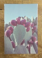 Nombre y forma 2 (postcard)