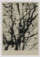 On a path - Andy Happel