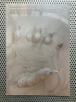 Pfeil Magazine #18 – Body