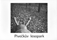 Pivečkův lesopark