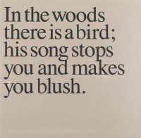 IN THE WOODS THERE IS A BIRD... (LP + BOOK Version)