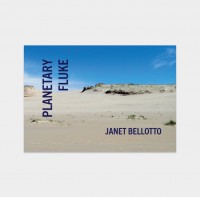 PLANETARY FLUKE